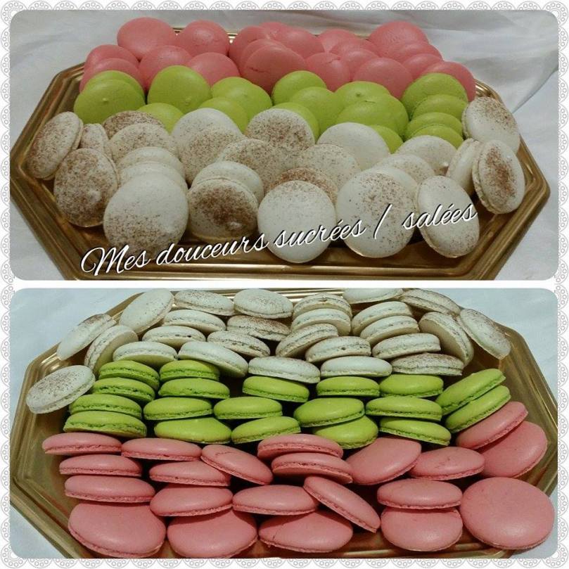 macarons-coques